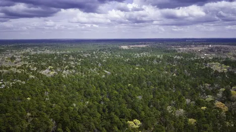 Tbd Tract 3 Triple Creek Loop Livingston TX 77351