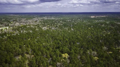 Tbd Tract 3 Triple Creek Loop Livingston TX 77351