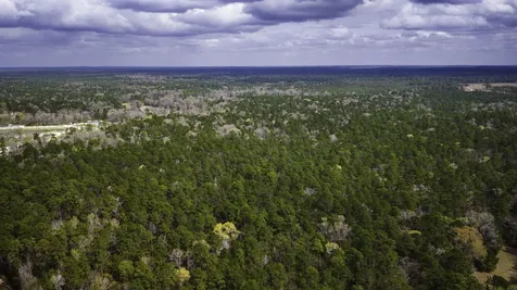 Tbd Tract 3 Triple Creek Loop Livingston TX 77351