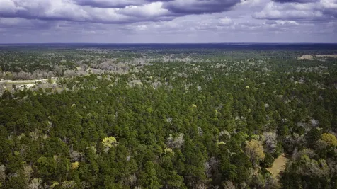 Tbd Tract 3 Triple Creek Loop Livingston TX 77351