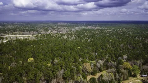 Tbd Tract 3 Triple Creek Loop Livingston TX 77351