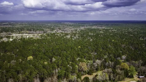 Tbd Tract 3 Triple Creek Loop Livingston TX 77351