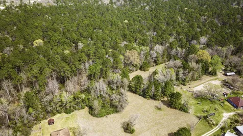 Tbd Tract 3 Triple Creek Loop Livingston TX 77351