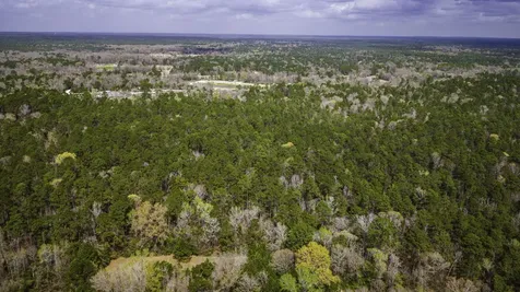Tbd Tract 3 Triple Creek Loop Livingston TX 77351