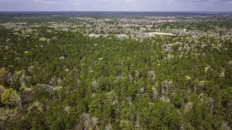 Tbd Tract 3 Triple Creek Loop Livingston TX 77351