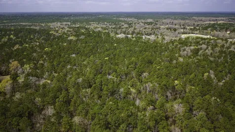 Tbd Tract 3 Triple Creek Loop Livingston TX 77351