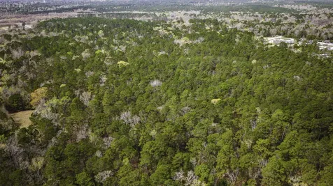 Tbd Tract 3 Triple Creek Loop Livingston TX 77351