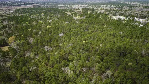Tbd Tract 3 Triple Creek Loop Livingston TX 77351