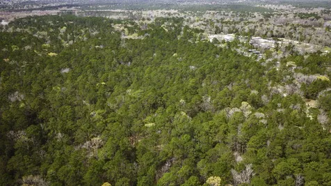 Tbd Tract 3 Triple Creek Loop Livingston TX 77351