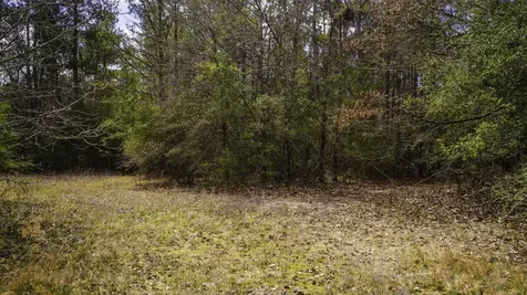 Tbd Tract 3 Triple Creek Loop Livingston TX 77351