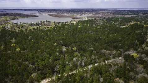 Tbd Tract 3 Triple Creek Loop Livingston TX 77351