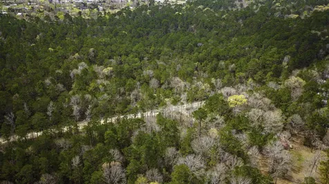Tbd Tract 3 Triple Creek Loop Livingston TX 77351