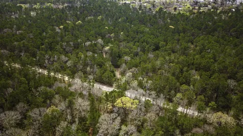Tbd Tract 3 Triple Creek Loop Livingston TX 77351