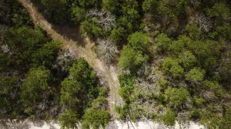 Tbd Tract 3 Triple Creek Loop Livingston TX 77351