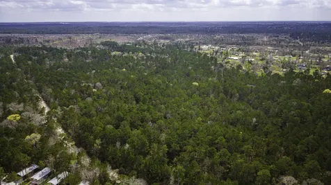 Tbd Tract 3 Triple Creek Loop Livingston TX 77351