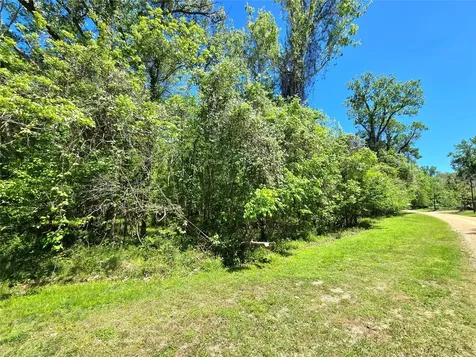 Tbd County Road 2167c Cleveland TX 77327