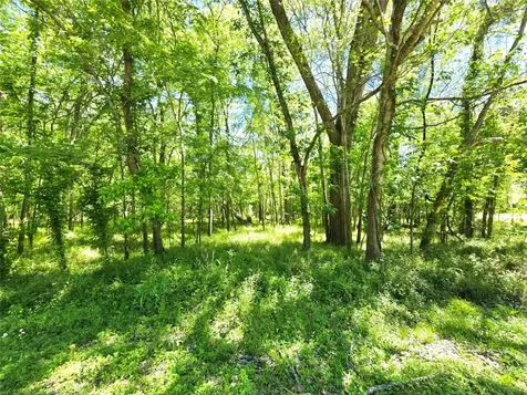 Tbd County Road 2167c Cleveland TX 77327