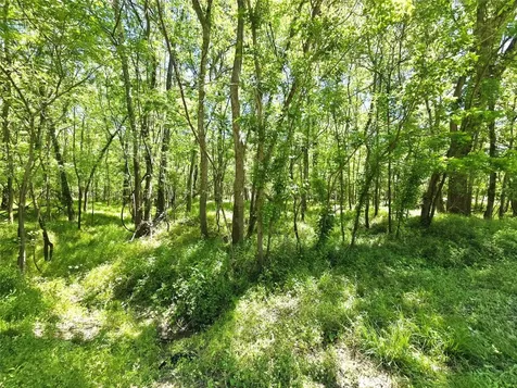 Tbd County Road 2167c Cleveland TX 77327