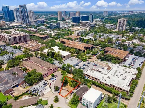 6 Briar Dale Court Houston TX 77027