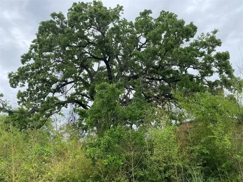 6 Briar Dale Court Houston TX 77027