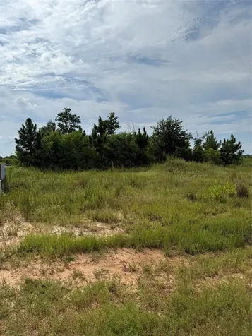 308 Road 5601 Cleveland TX 77327