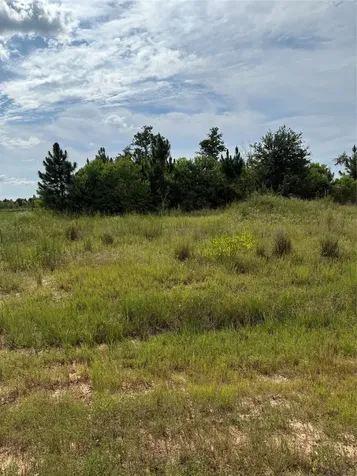 308 Road 5601 Cleveland TX 77327
