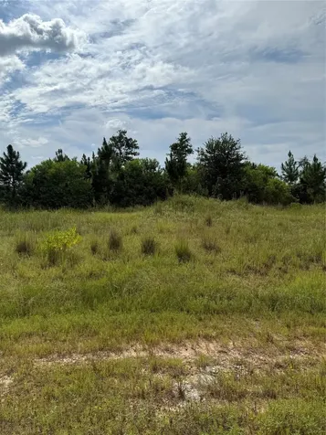 308 Road 5601 Cleveland TX 77327