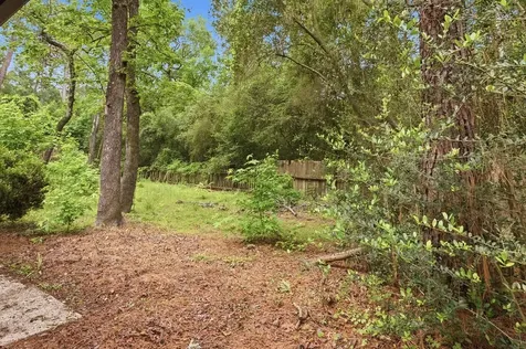 54 Quiet Peace Place The Woodlands TX 77381