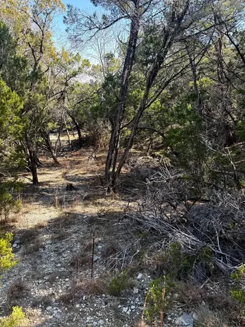 1392 Johnson Road Canyon Lake TX 78133