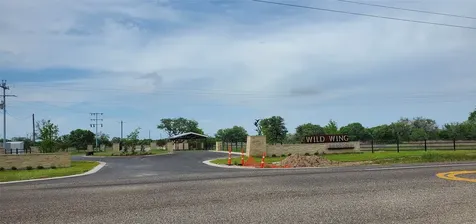 Tbd Specklebelly Lane Lot 252 Columbus TX 78934