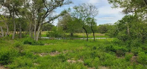 Tbd Specklebelly Lane Lot 252 Columbus TX 78934