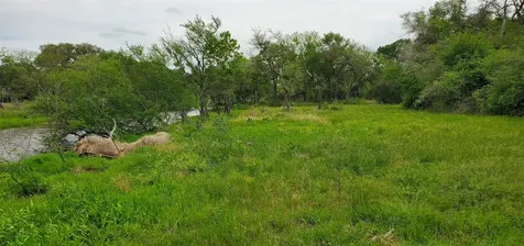 Tbd Specklebelly Lane Lot 252 Columbus TX 78934