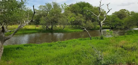 Tbd Specklebelly Lane Lot 252 Columbus TX 78934