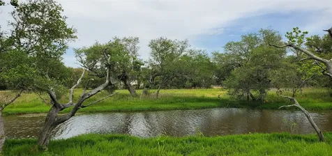 Tbd Specklebelly Lane Lot 252 Columbus TX 78934