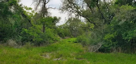 Tbd Specklebelly Lane Lot 252 Columbus TX 78934
