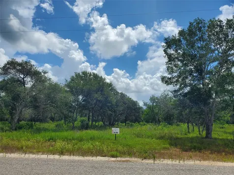 Tbd Specklebelly Lane Lot 252 Columbus TX 78934