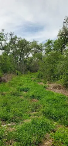 Tbd Specklebelly Lane Lot 252 Columbus TX 78934
