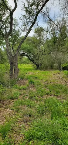 Tbd Specklebelly Lane Lot 252 Columbus TX 78934