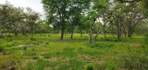 Tbd Specklebelly Lane Lot 252 Columbus TX 78934