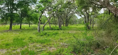 Tbd Specklebelly Lane Lot 252 Columbus TX 78934