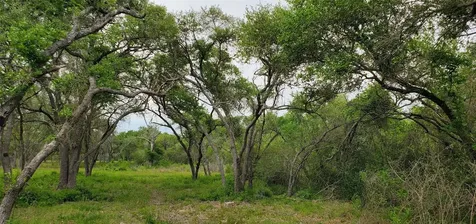Tbd Specklebelly Lane Lot 252 Columbus TX 78934