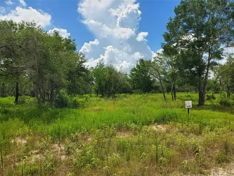 Tbd Specklebelly Lane Lot 252 Columbus TX 78934