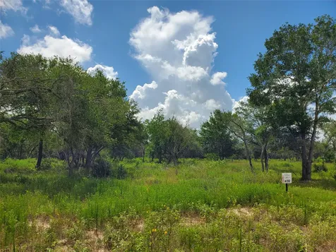 Tbd Specklebelly Lane Lot 252 Columbus TX 78934