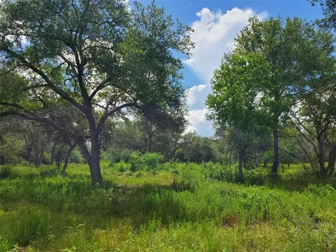Tbd Specklebelly Lane Lot 252 Columbus TX 78934