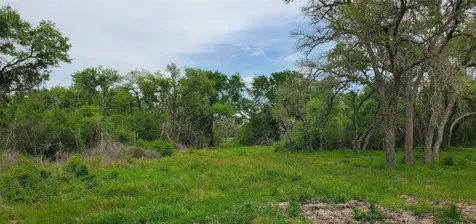 Tbd Specklebelly Lane Lot 252 Columbus TX 78934