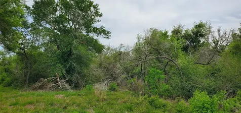 Tbd Specklebelly Lane Lot 252 Columbus TX 78934