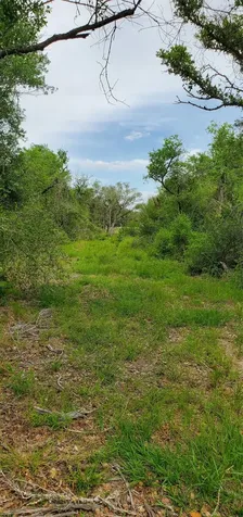 Tbd Specklebelly Lane Lot 252 Columbus TX 78934