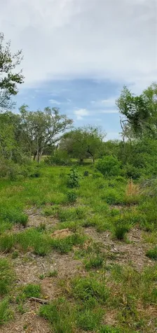 Tbd Specklebelly Lane Lot 252 Columbus TX 78934