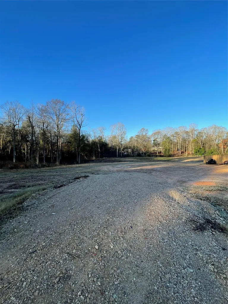 11369 Annie Creek Drive Willis TX 77378