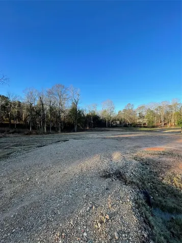 11369 Annie Creek Drive Willis TX 77378
